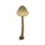 Série de cogumelos