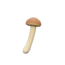 Série de cogumelos