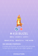 Buizel