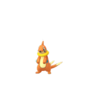 Buizel