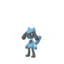 Lucario