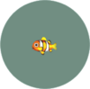 Poisson clown