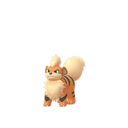 Arcanine