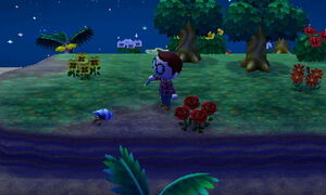New images of Animal Crossing New Leaf