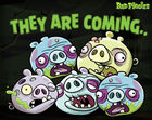 Cochons zombies