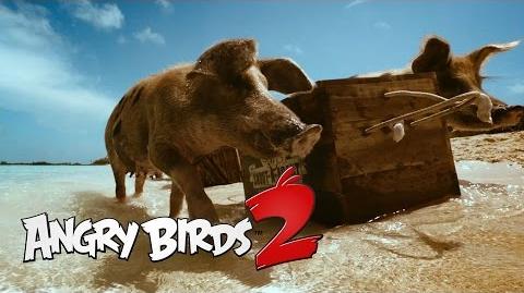 Angry Birds 2