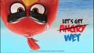 Angry Birds Splash Mundo del agua