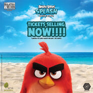 Angry Birds Splash Mundo del agua