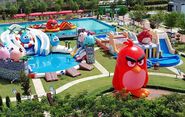 Angry Birds Splash Water World