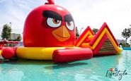 Angry Birds Splash Water World