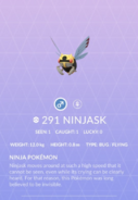 ninjasky