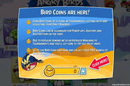 Bird Coins