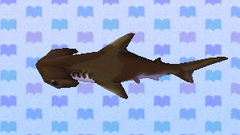 Tubarão martelo