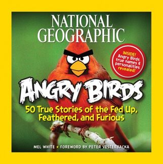Angry Birds: hartos, emplumados y furiosos