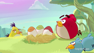 Angry Birds Space Origins Court-métrage