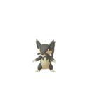 Raticate