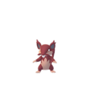 Raticate