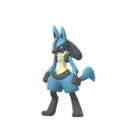 Riolu