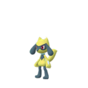 Riolu