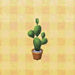 ensemble de cactus