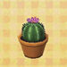 Conjunto de cactus