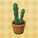 Conjunto de cactus