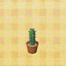 Conjunto de cactus