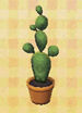 Conjunto de cactus