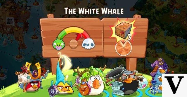 La ballena blanca