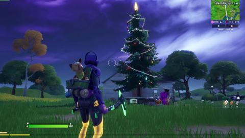 Dance alongside Christmas trees in different named locations in Fortnite, Winter Festival