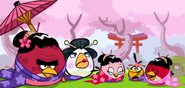Angry Birds dans d'autres pays