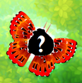 Angry Birds Flutter: Santuario de mariposas
