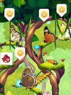Angry Birds Flutter : le sanctuaire des papillons