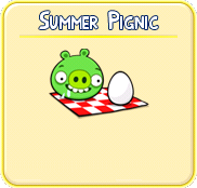 Summer Pignic