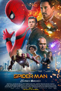 Spider-Man: Retrouvailles