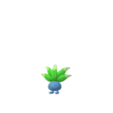 Bellossom