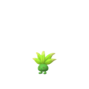 Bellossom