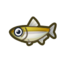 Guia: lista de peixes de dezembro (Novos Horizontes)