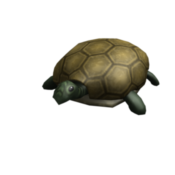 Amiga de ombro de tartaruga