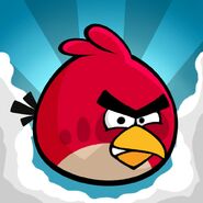 Iconos de la aplicación Angry Birds