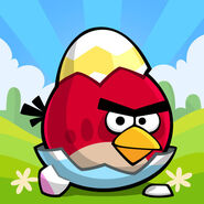 Icônes de l'application Angry Birds