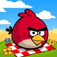 Iconos de la aplicación Angry Birds