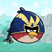 Iconos de la aplicación Angry Birds