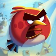 Iconos de la aplicación Angry Birds