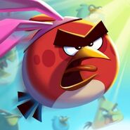 Icônes de l'application Angry Birds