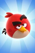 Icônes de l'application Angry Birds