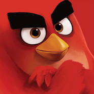 Icônes de l'application Angry Birds