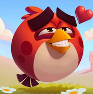 Iconos de la aplicación Angry Birds