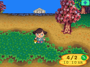 Animal Crossing: mundo selvagem