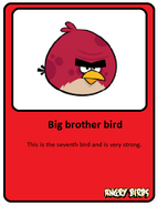 Angry Birds : cartes à collectionner